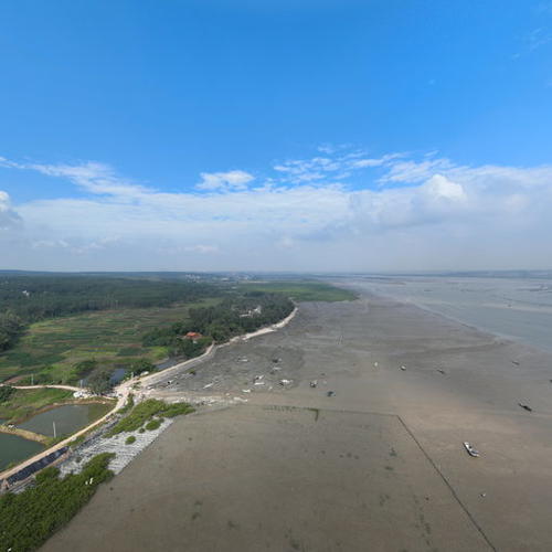 蓝色海湾5号地造林全景