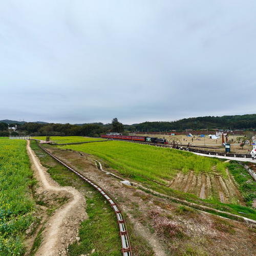 广州霞迳村草帽农场